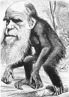 Darwin-Karikatur